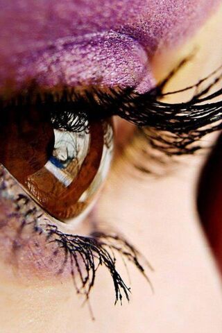 Glimmering Gaze: The Be..