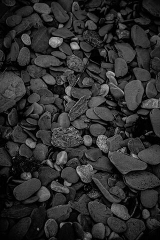 Mysteries of Pebble Beach 🌊✨