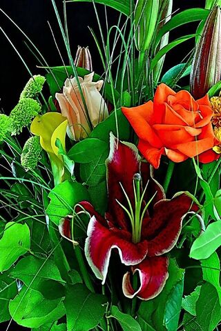 Vibrant Blooms: A Floral Symphony 🌸🎶