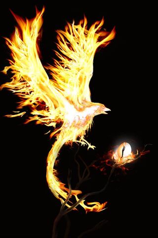 Phoenix Rising: The Flame of Rebirth 🔥🕊️