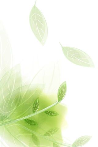 Whispers of Nature 🍃