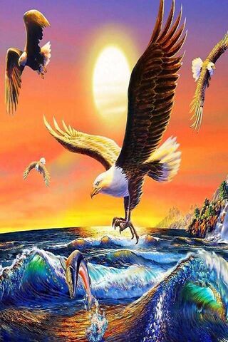 Majestic Flight: The Dance of Eagles