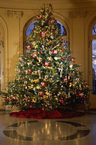 Christmas Tree