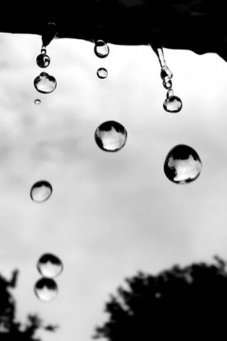 Rain Drops Hd Wallpaper - Download to your mobile from PHONEKY
