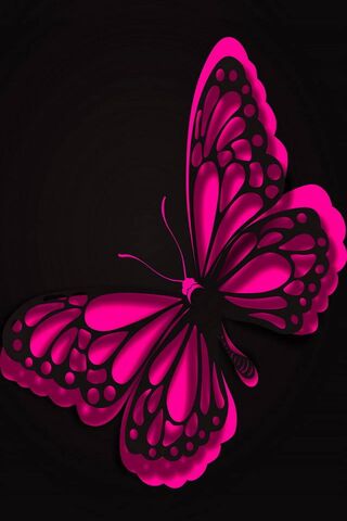 Abstract Butterfly