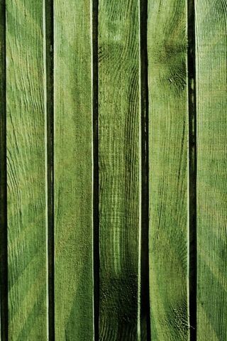 Nature's Palette: Vibrant Green Boards 🌿