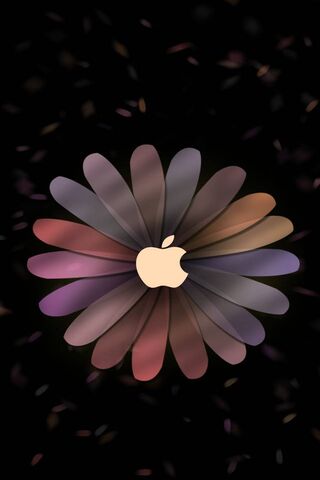 Blooming Innovation: Th..