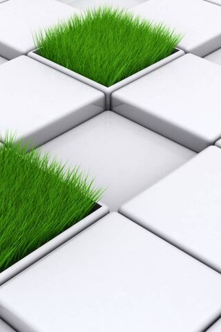 Green Oasis: The Box Grow Concept 🌱