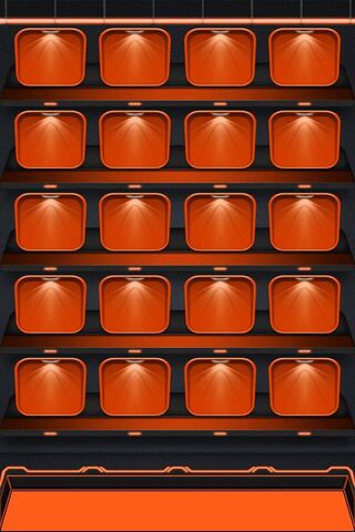 Vibrant Orange Delight ..