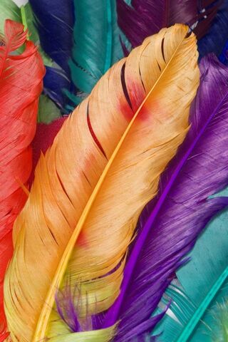 Colorful-Wallpapers-
