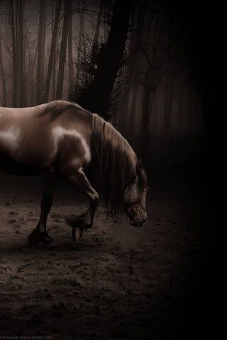 Mystical Equine in the Shadows 🌌🐴