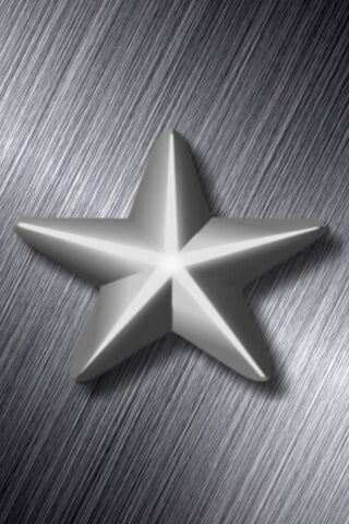 Shining Bright: The Silver Star