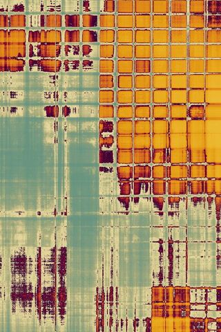 Urban Chaos: A Grunge Aesthetic