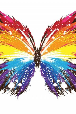 Colorful Wings of Trans..