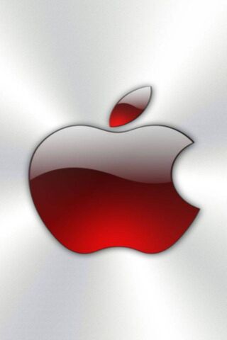 Shiny Elegance: The Silver and Red Apple