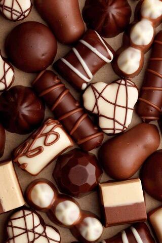 Decadent Delights: A Chocolate Wonderland 🍫✨