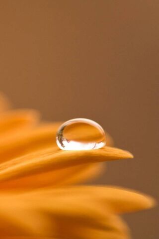 Nature's Crystal: The B..