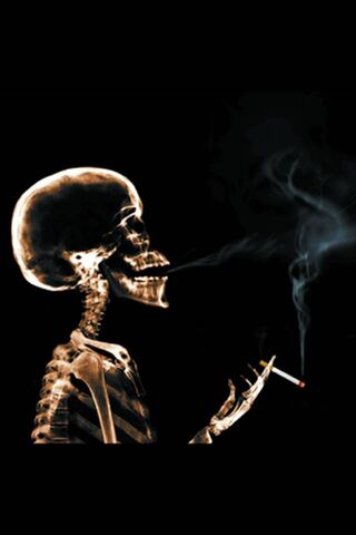 The Grim Reality of Smoking 🚬💀