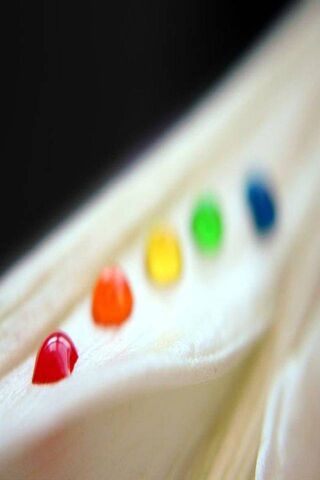 Rainbow Reflections: A Splash of Color