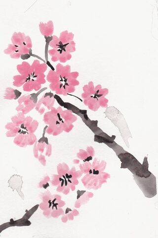Blossoms of Serenity: The Essence of Sakura 🌸