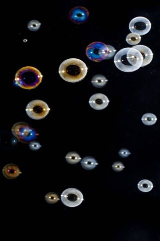 Flying Bubbles Wallpaper - Download to your mobile from PHONEKY