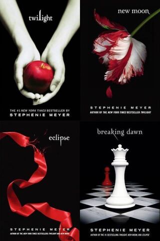 The Enchanted Chronicles: A Journey Through Twilight