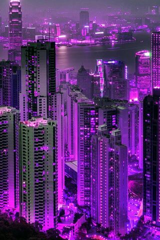 Purple Hong Kong