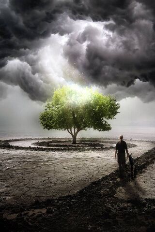 Whispers of Resilience 🌳✨