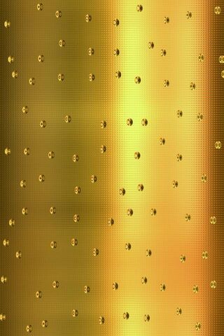 Shimmering Elegance: The Gold Metal Plate