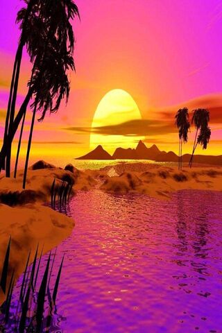 Vibrant Sunset Oasis 🌅✨