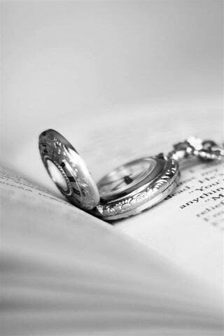 Moments in Time ⏳✨