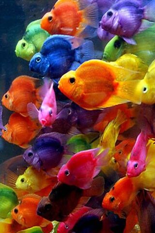 A Splash of Color: The ..