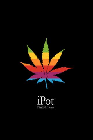iPot: A Colorful Twist on a Classic