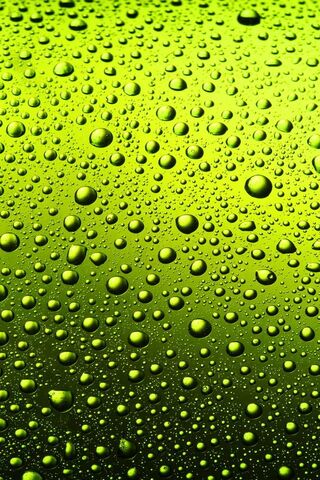 Lime Drops