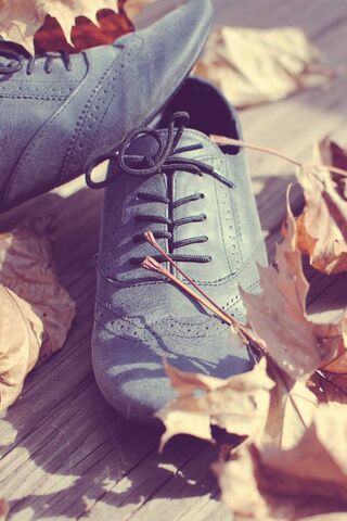 Timeless Elegance: The Old Fashioned Shoe