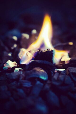 Embers of the Night: The Dance of Coal Fire 🔥✨