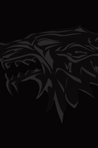 The Fierce Spirit of Ozcanates 🐺✨