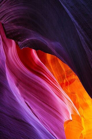 Xromata: The Dance of Colors in Nature