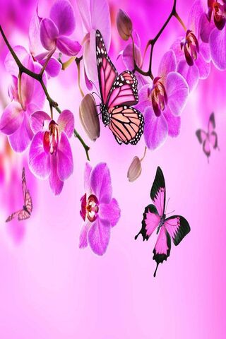 Whimsical Dance of Orchids and Butterflies 🌸🦋