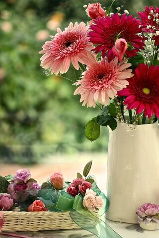 Blooming Beauty: A Flor..