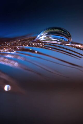 Whispers of Nature: The Feather's Embrace 🌿✨