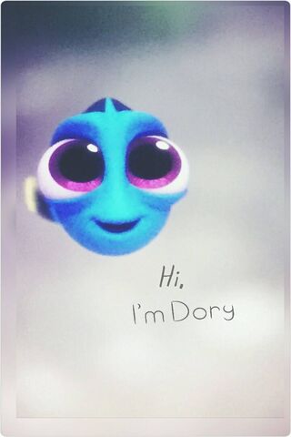 Meet Baby Dory: The Ado..