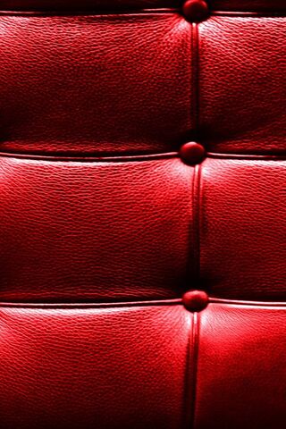 The Bold Elegance of Ozcanates