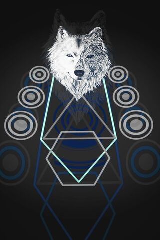 The Spirit of the Wolf: A Geometric Journey