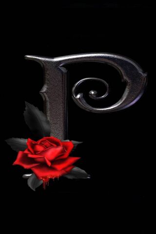 Passion and Elegance: The Palmer Emblem 🌹✨