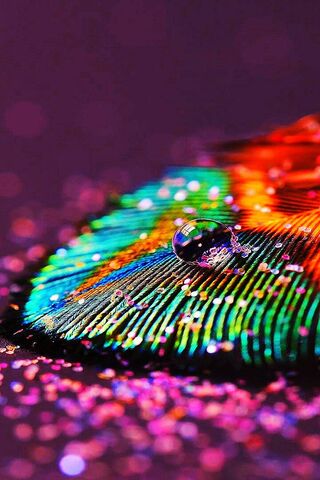 Glitter
