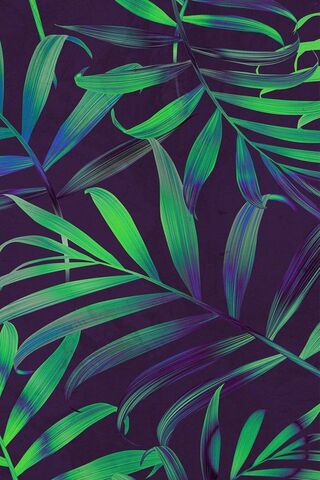 Tropical Vibes 🌿✨