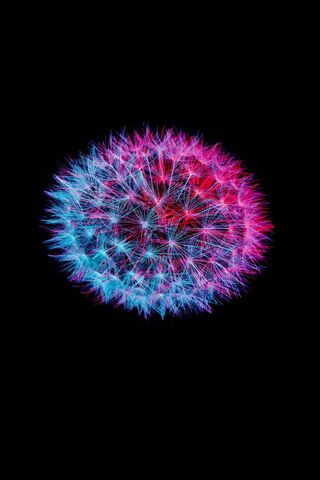 Cicek: A Burst of Colorful Energy 🌸✨