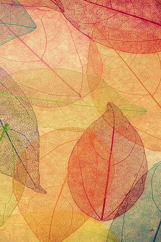 Colorful Leaf Impressio..