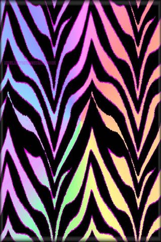Multicolor Zebra